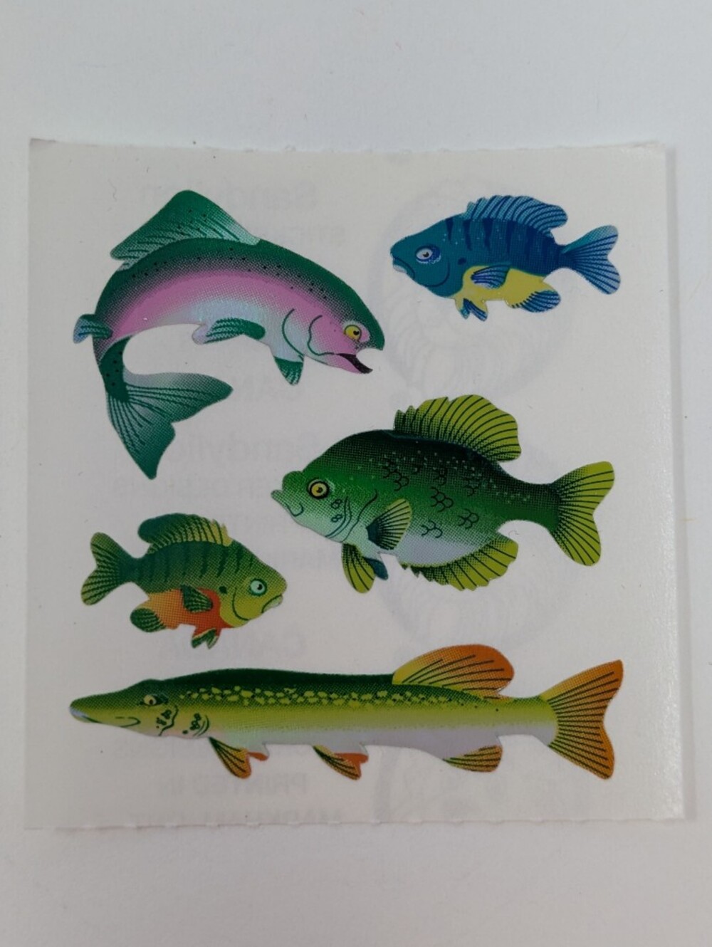 Sandylion Stickers Fish Realistic Vintage